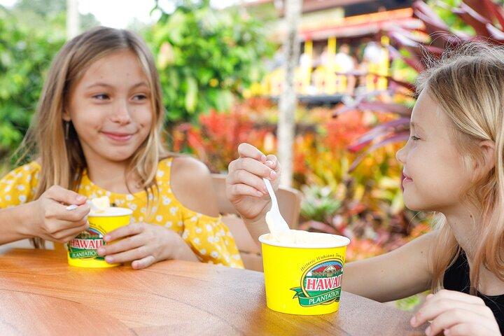 North Shore Haleiwa & Dole Plantation Tour