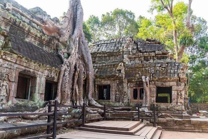 Full Day Tour Angkor Wat Sunrise and Siem Reap Temples