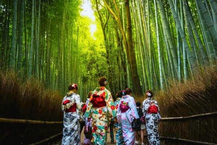 Katsuo-ji, Minoo Falls, Todai-ji, Arashiyama & Nara Park Day Tour