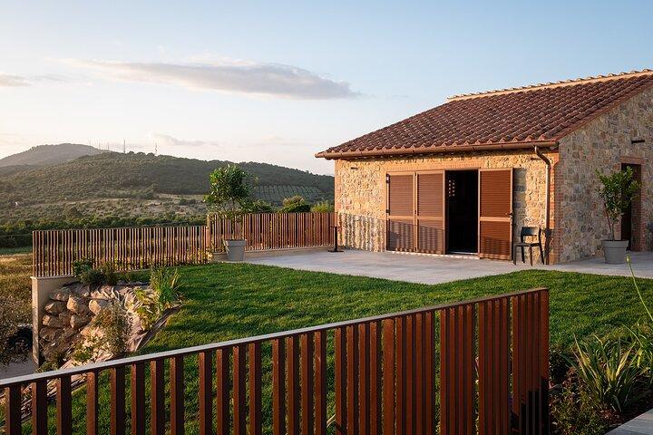 Winery tour and wine tasting in Maremma - Grosseto