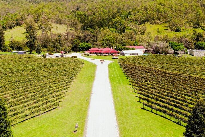Lamington National Park, O'Reilly's & Vineyard Tour