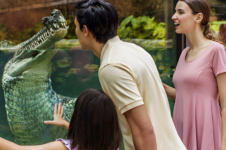Singapore: River Wonders Entry Ticket