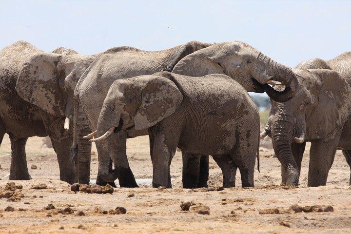 4 Day All Inclusive Tour to Boteti, Delta and Pans