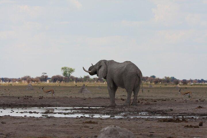 4 Day All Inclusive Tour to Boteti, Delta and Pans