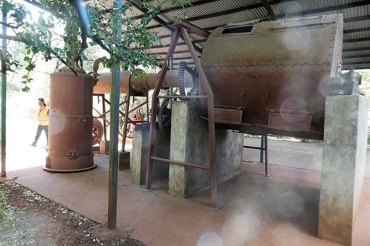 Giraffe Center ,Karen Blixen and Traditional Dances