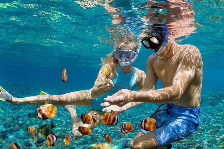 Bali Blue Lagoon Snorkeling and Waterfall Day Tour with Lunch