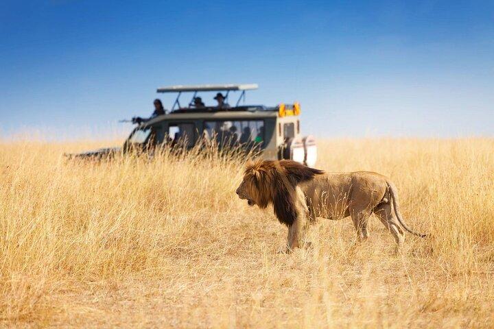 Half Day Hluhluwe Imfolozi Game Reserve from Richards Bay