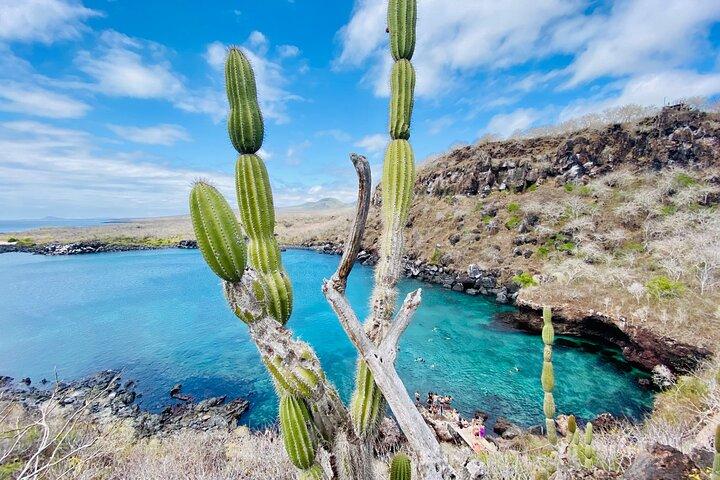 4 Days San Cristobal Darwin’s Footsteps
