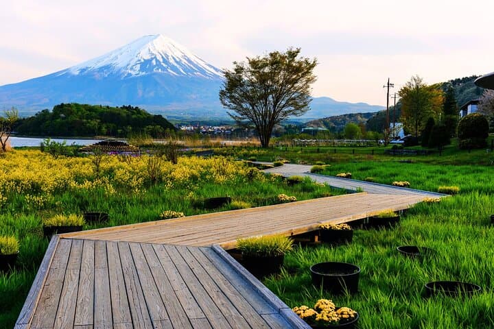 From Tokyo: Private Day Trip to Mount Fuji & Fuji Five lakes
