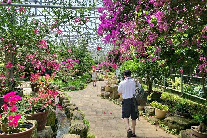 Private Half Day Tour Lava tube(Hanrim park ) in jeju island