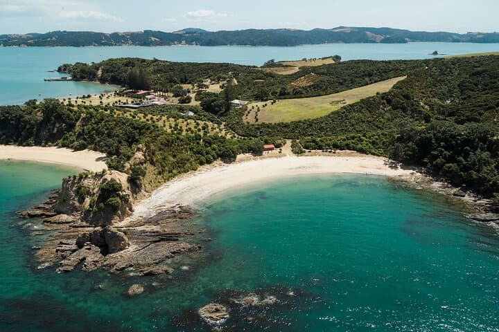 Auckland: Tikapa Moana Dolphin, Whale and Island Cruise