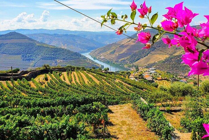 Douro Valley Small Group Tour with Two Winery, Lunch & Boat Trip