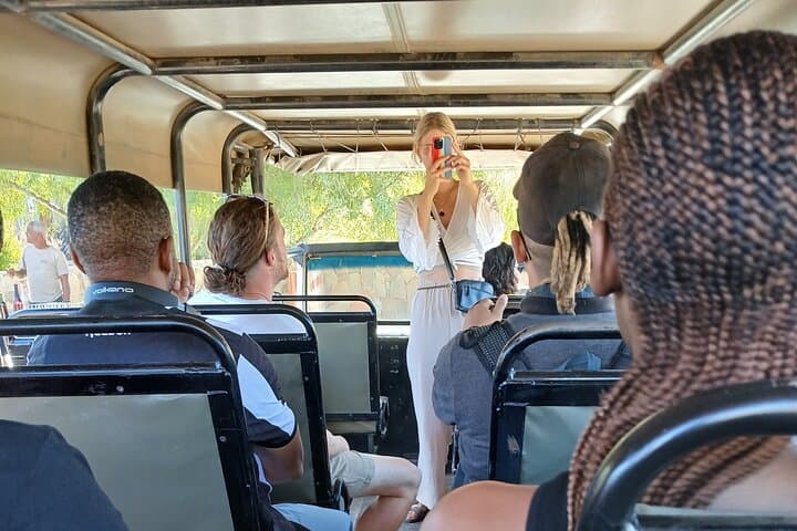 Full Day Big Five Safari Tour from Cape Town with Transfers