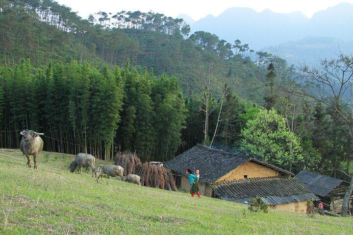 4-Day Motorbike Tour through Ha Giang’s Wonders
