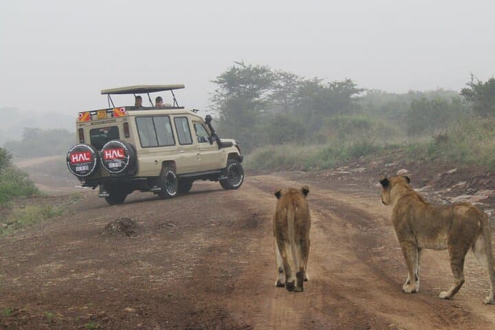 Nairobi National Park Sheldrick & Giraffe Centre Day Trip