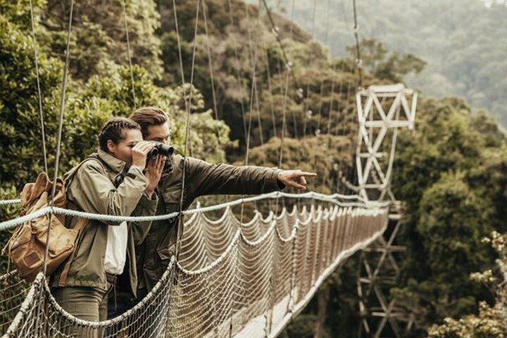 1 Day Nyungwe Canopy Walk & Waterfall Adventure