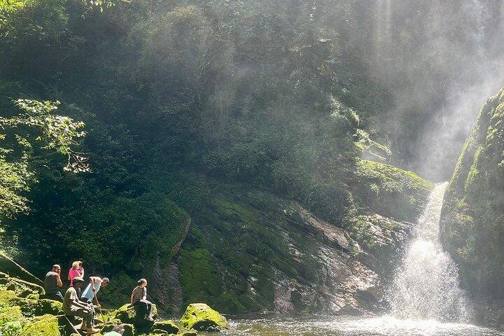 1 Day Nyungwe Canopy Walk & Waterfall Adventure