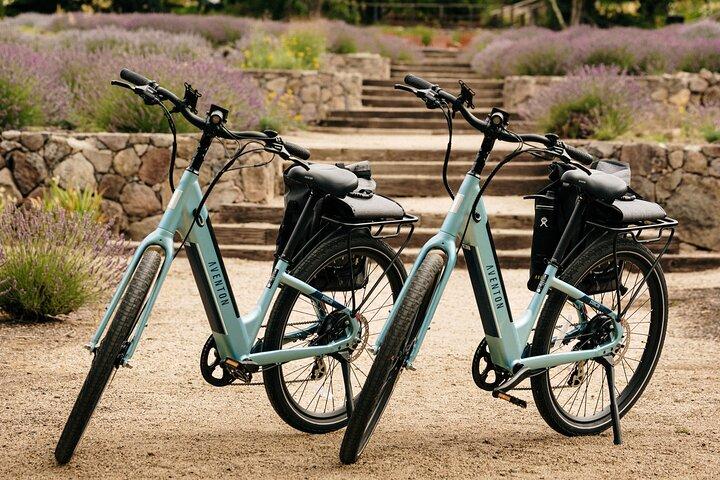 Full Day Guided Electric Bike Wine Tasting Tour with Lunch