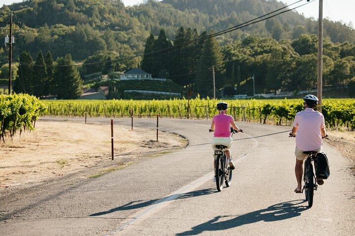 Full Day Guided Electric Bike Wine Tasting Tour with Lunch