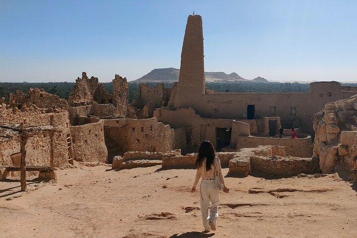 Private Siwa Oasis Full Day Tour