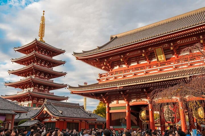 Tokyo: Private Walking Tour with a Local Guide