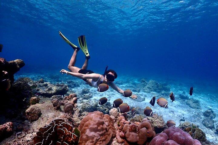 Lazy Day Similan Snorkeling by Speed Catamaran from Khao Lak