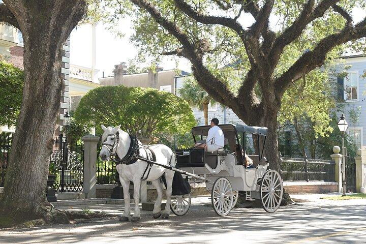 Private Daytime Horse-Drawn Carriage Tour of Charleston