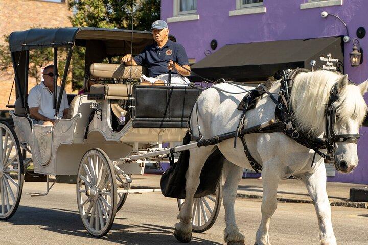 Private Daytime Horse-Drawn Carriage Tour of Charleston