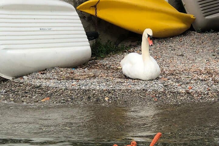 Bellagio Group Lake Como Kayak Tour