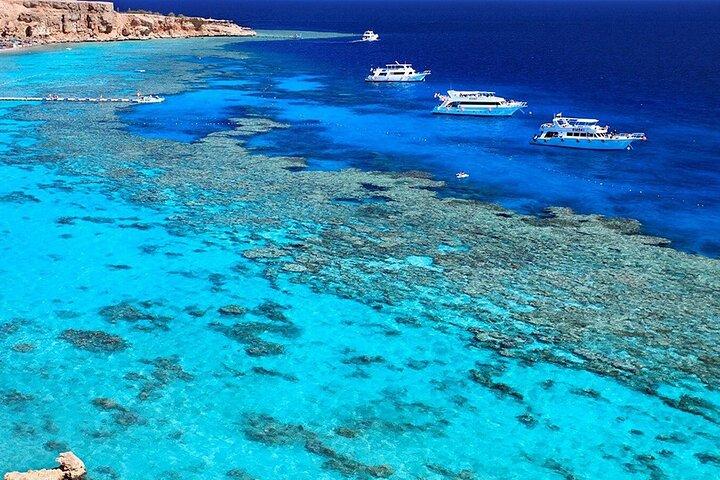 Ras Mohamed & White Island Diving & Snorkeling – Sharm El Sheikh
