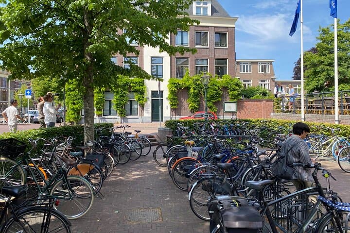 Private Tour from Amsterdam: Historical Leiden