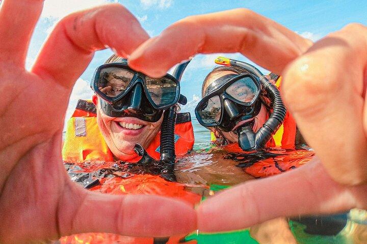 Private Turtles & Cenotes Adventure