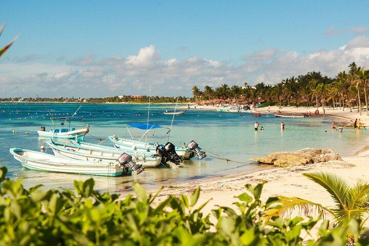 Private Turtles & Cenotes Adventure