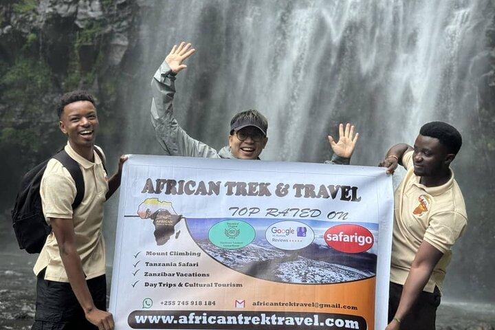 Materuni Waterfalls, coffee tour & Chemka Hot Springs From Arusha