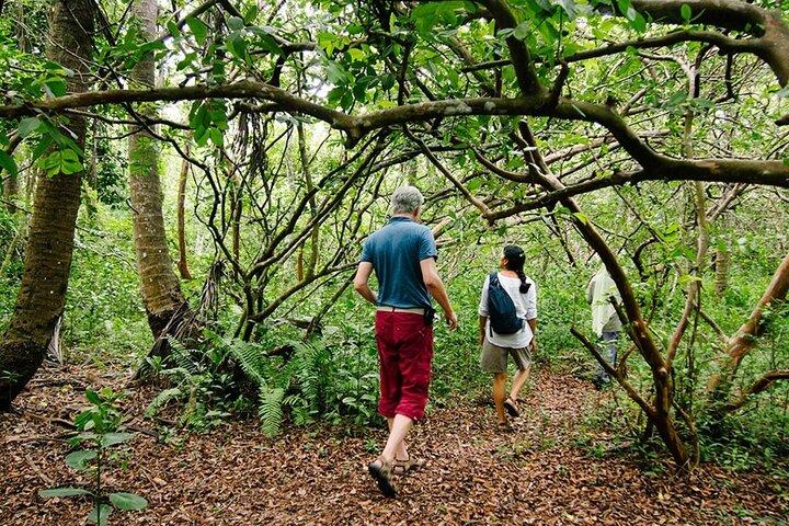 Jozani Forest and Spice Farm Tour in Zanzibar