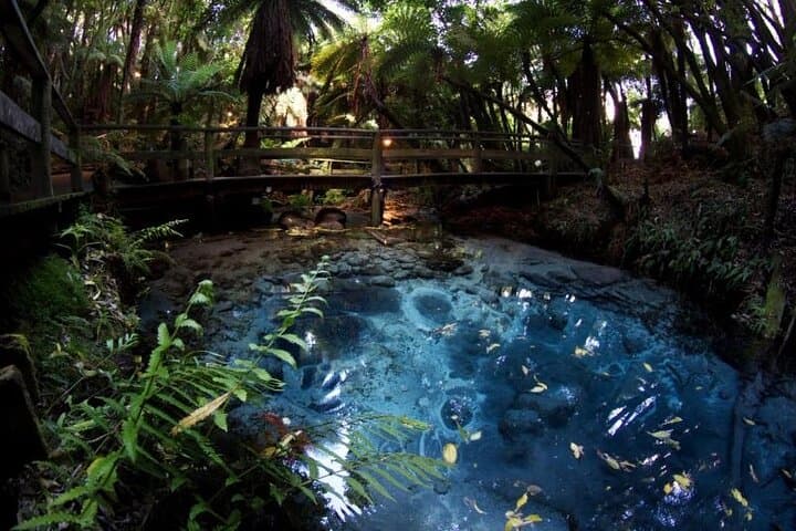 Rotorua Cultural & Geothermal Small Group Tour From Auckland