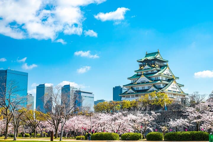 Osaka Highlights Private Tour with Local driver (guide option)