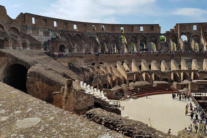 ROME:Colosseum, forum & palatin hill guided tour - private/group