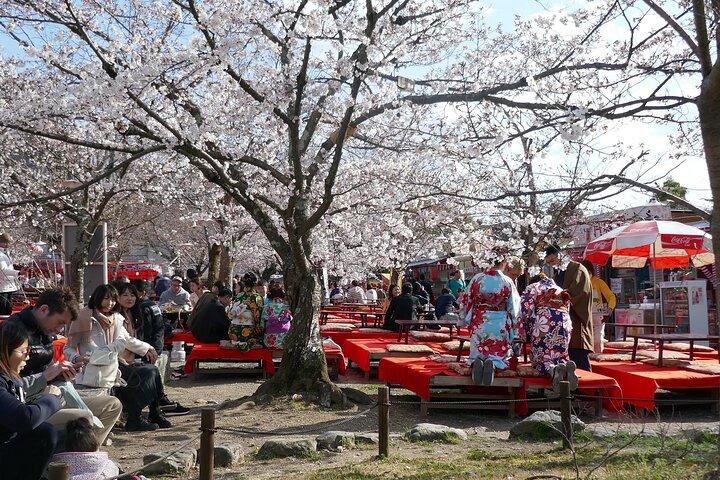 Kiyomizudera, Higashiyama and Yasaka Shrine Guided Walking Tour