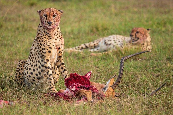 7 Days 6 Nights Best of Kenya Safari