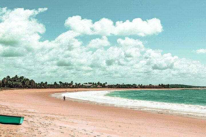 Tour in Itacimirim and Imbassaí - The Wonders of the Coast