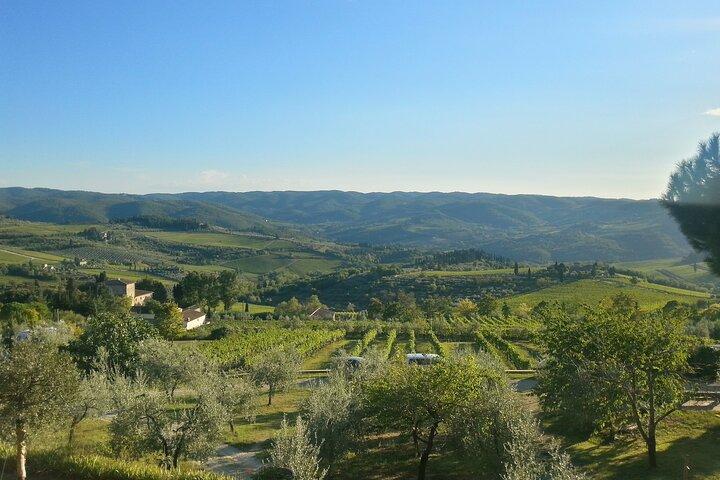 The best of Chianti Classico Wine Private Tour with Dinner in a boutique Estate