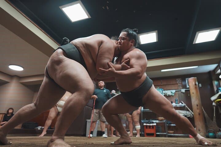 Unique Afternoon Live Sumo training tour in Tokyo