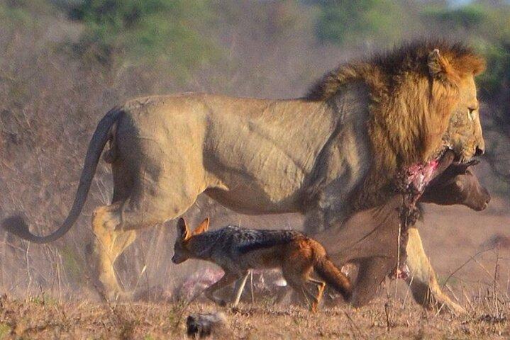 4 Days Maun and Chobe National Park All inclusive