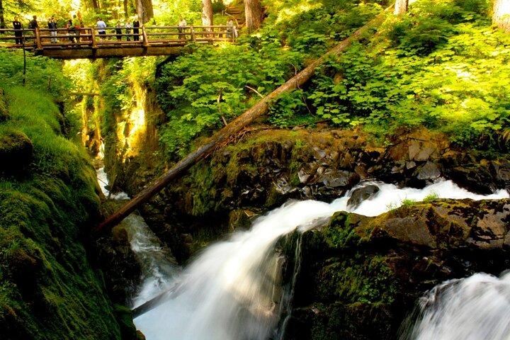 Small Group Olympic National Park Day Tour from Seattle 2CanGo
