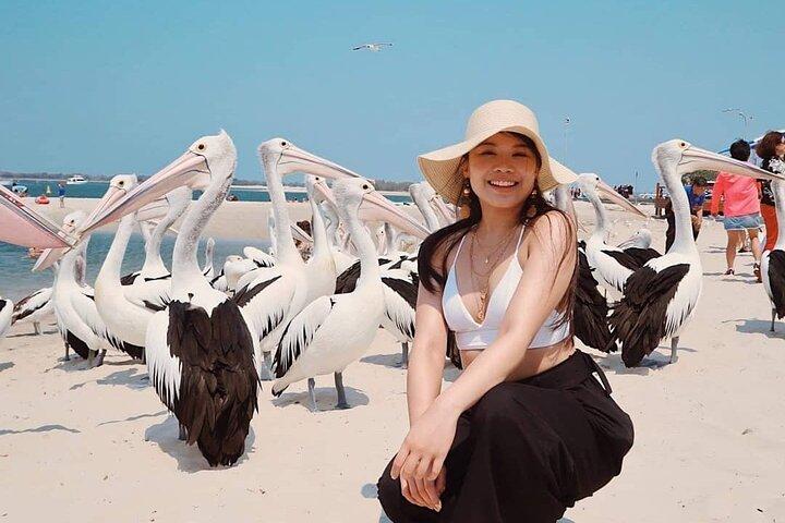 Gold Coast Surfer's Paradise Private Tour from Brisbane