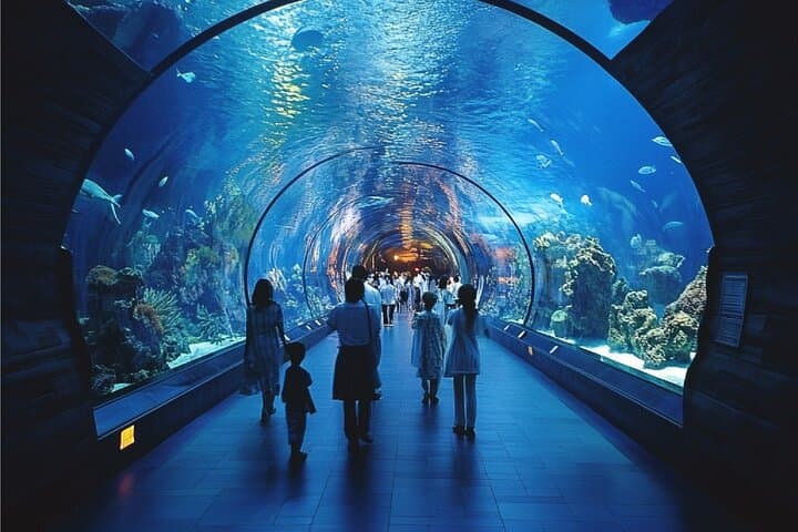 Dubai Aquarium & Underwater Zoo Admission Ticket