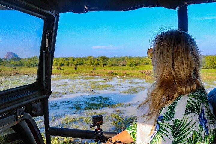 Yala National Park Leopard Safari - HALF DAY/FULL DAY TOUR