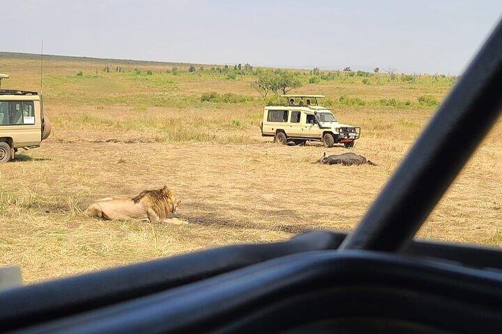 Nairobi National Park Private Half Day Tour with Pick up