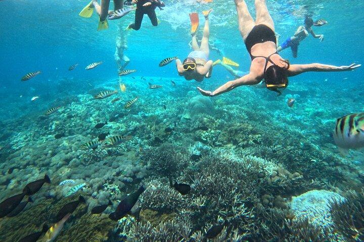 From Bali: Nusa Penida Full Day Tour and Snorkeling